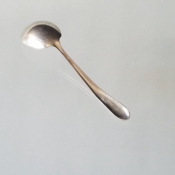 H&T Mfg Co 1940 Meadow Flower Pattern Condiment Serving Spoon Silverplated - Picture 6 of 11